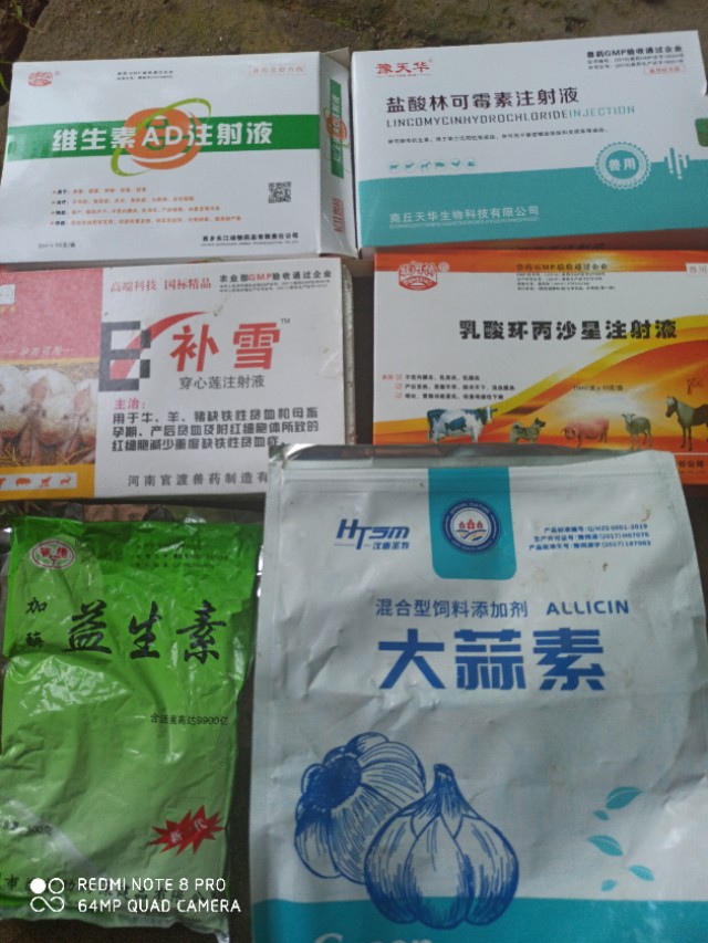 猪病诊断治疗教学,猪病防治重在保健