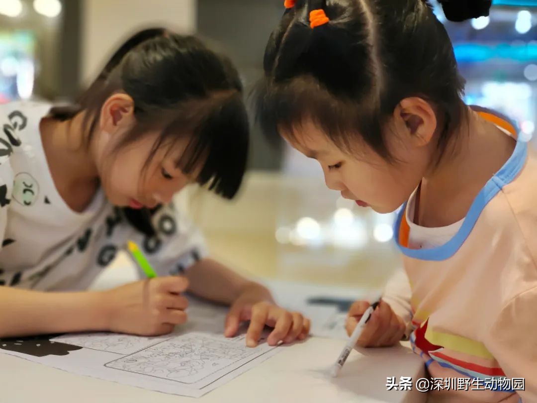 聆听奇趣虫语，发现自然之美