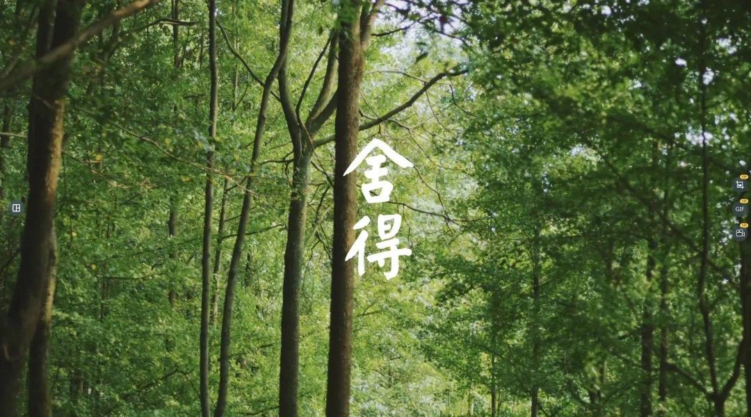 涓栫晫鍚嶉厭鍜屽▉澹繉瀵规瘮,涓栫晫鍗佸ぇ鍚嶉厭vs涓浗鍗佸ぇ鍚嶉厭