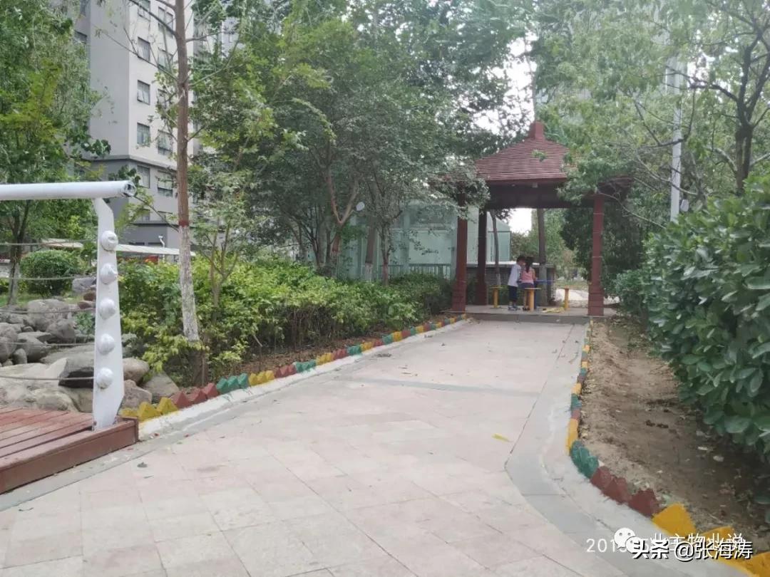 赞!旧貌换新颜,只因小区有了业主大会