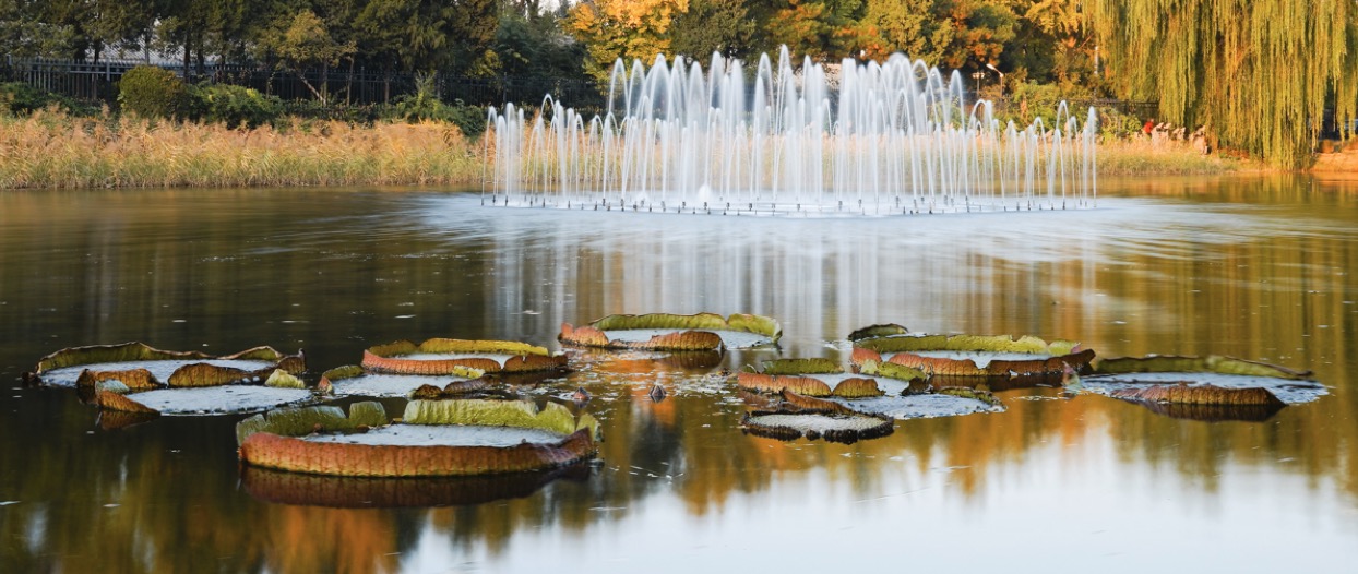 适马fp全画幅相机怎么样,适马fp二代对比什么相机