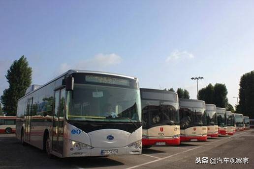 深圳公交比亚迪k9b,青岛公交比亚迪k9