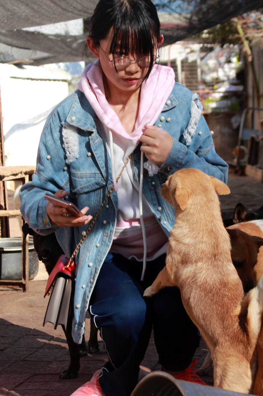 每一个生命都需要被尊重和善待,每一个生命都要被尊重被温暖