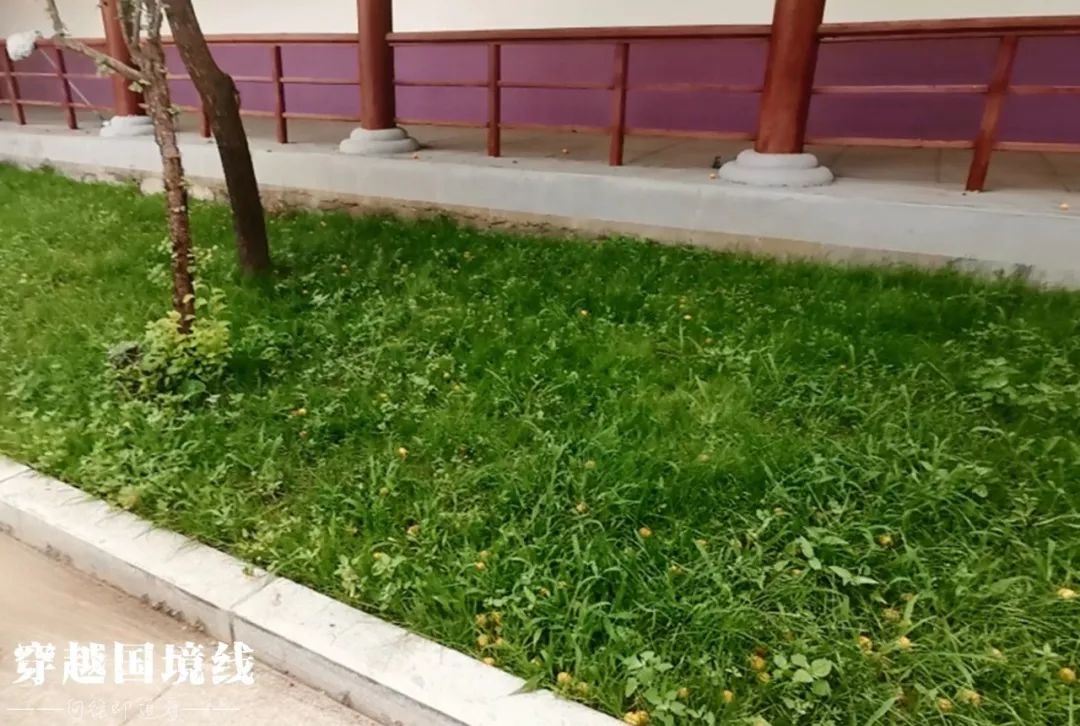 长白山是不是又叫白山了,长白山和白山是一个地方吗