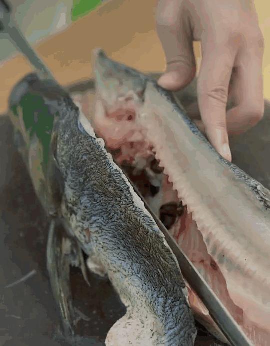 巴到喉咙里的那颗青花椒，勾起好多吃鱼人的回忆！