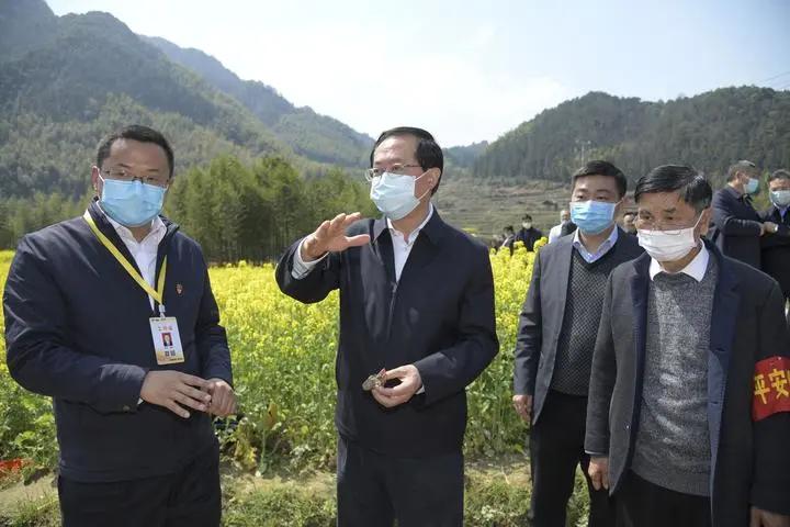 如何提振旅游业、建好特别生态功能区？车俊赴淳安调研