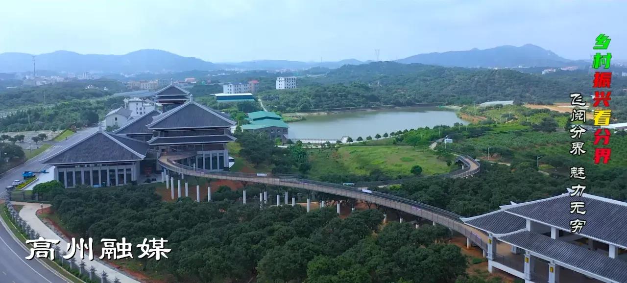 飞阅系列,飞阅新闻最新消息