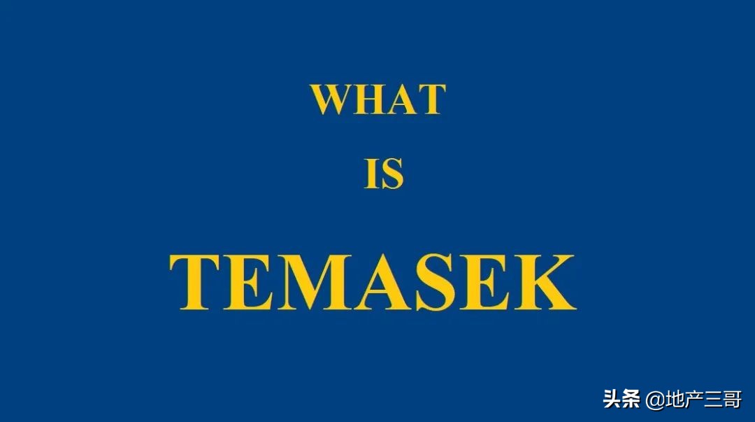 什么是淡马锡公司,淡马锡模式到底是什么意思