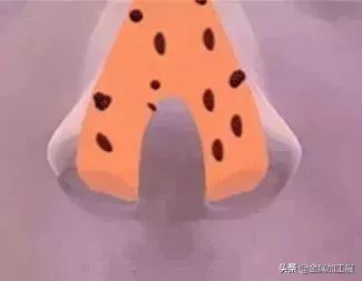 澶栧浗浜虹敤娣辨捣姘村仛鍠烽浘,娉曞浗浜虹敤闆呮季