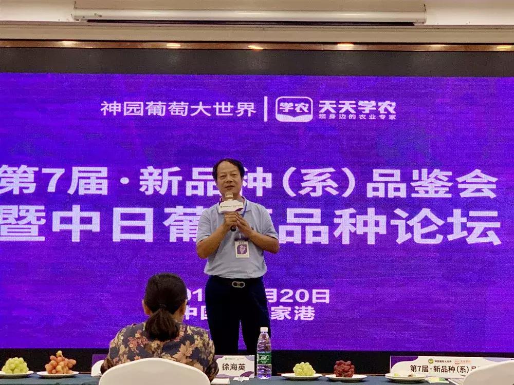 葡萄新品种发展潜力,未来5年最具潜力的葡萄品种