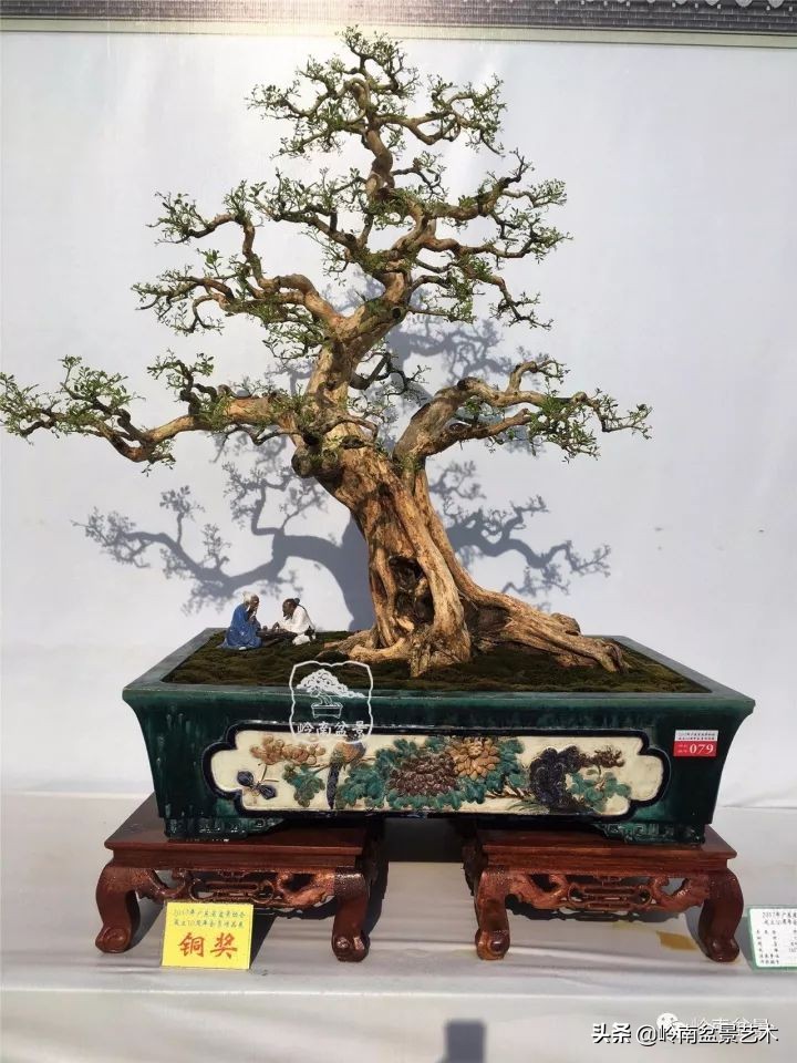 骞哥涔呬箙鐢滅敎铚滆湝,骞哥涔呬箙