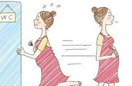 孕期尿频尿急怎么办，如何化解尴尬？