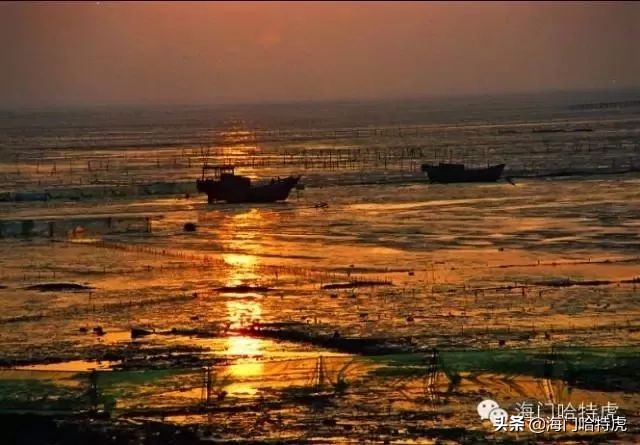 70年代的南通海门镇,海门人的老记忆