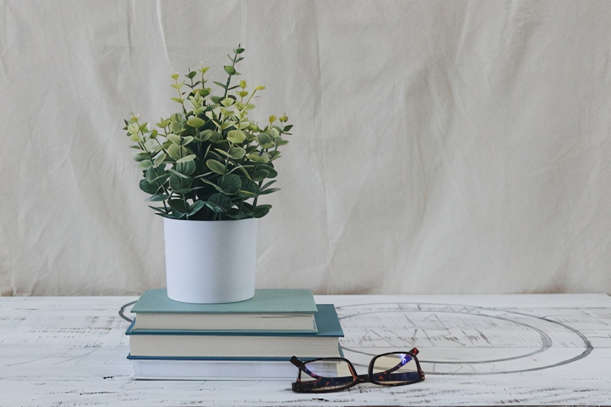 分手后,我没有换手机号,只是平静地忽略他一次次的好友申请验证