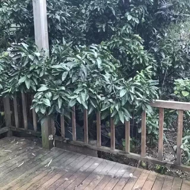 90后小伙花100万造房子,90后小伙花几千元装修500个平方