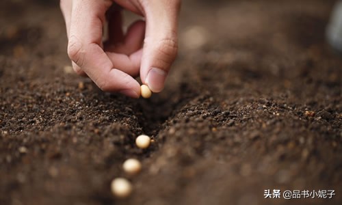 读荒野的呼唤有感400字,荒野的呼唤巴克是什么狗