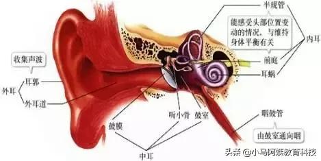 鏃╂棭鑰佸笀鏃╂暀璇剧▼,鏃╂棭鑰佸笀绉戝鏃╂暀