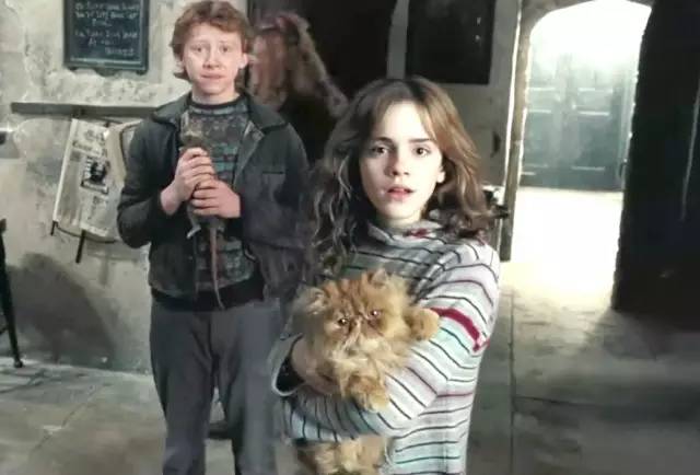 炉石传说23级乌鸦魔仆,炉石传说乌鸦魔仆2