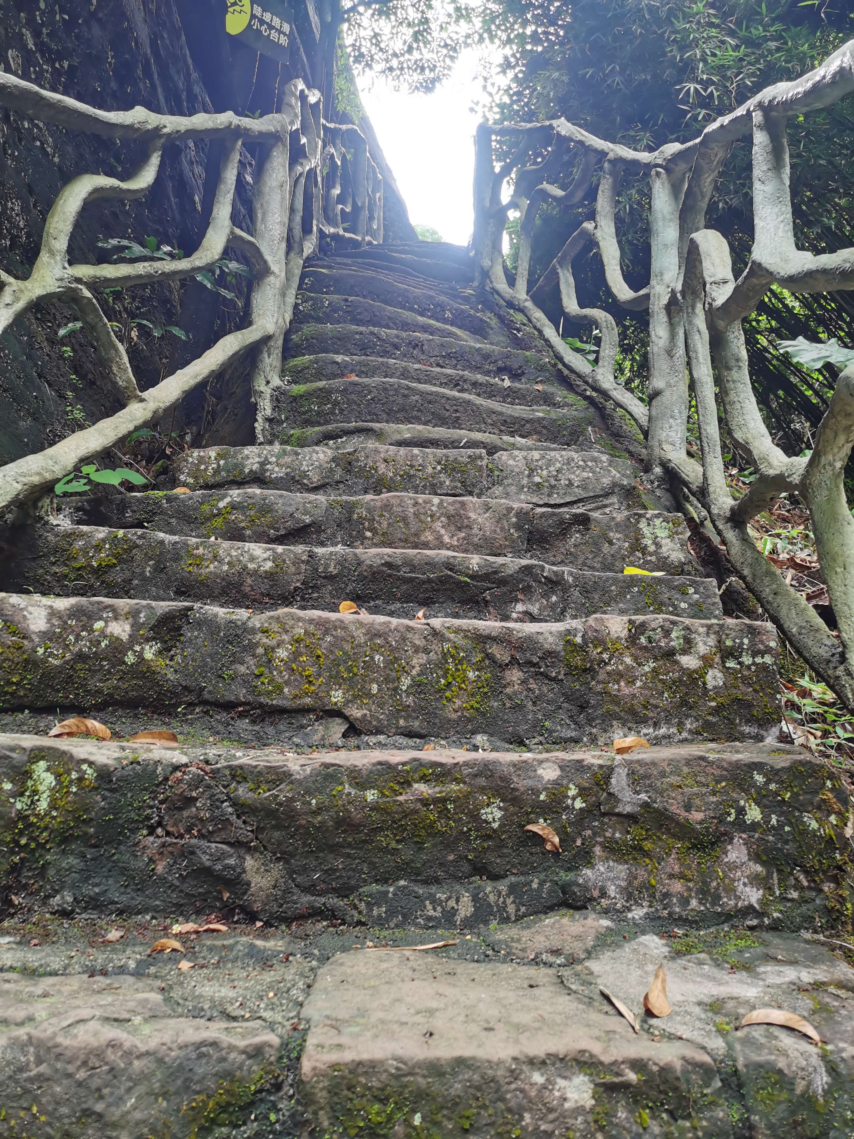 叮当猫还玩81式吗,叮当猫还玩率土之滨吗