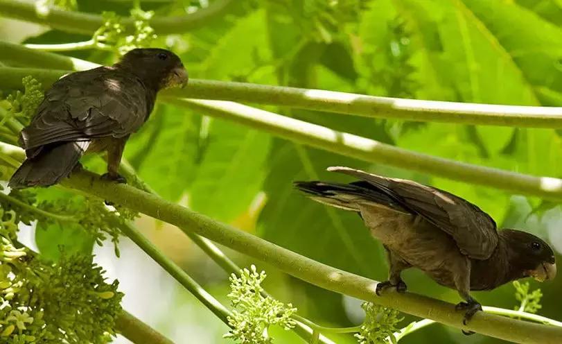 免签的亚洲海滩,六个免签海岛颜值完爆马岱