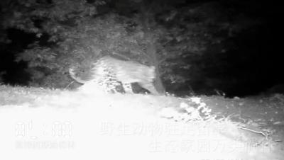 河南24小时地市篇,河南二十四小时