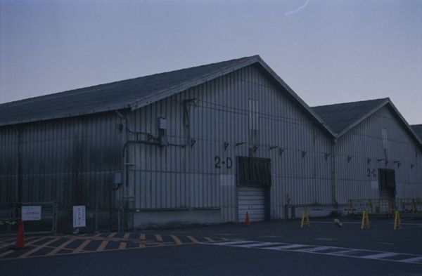 新手玩胶片机,怎么选择胶片机