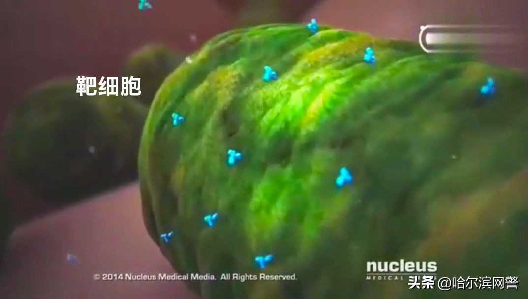 谈癌色变或许没有那么可怕,为什么谈艾色变