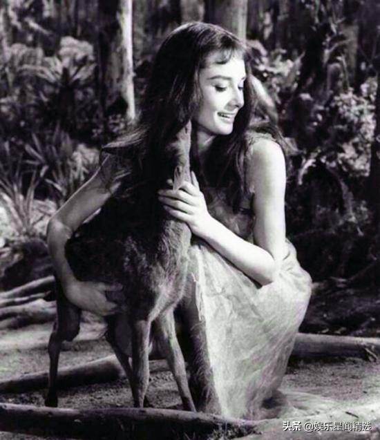 奥黛丽赫本建立在爱情之上的友谊,奥黛丽赫本与她生命中的四个男人