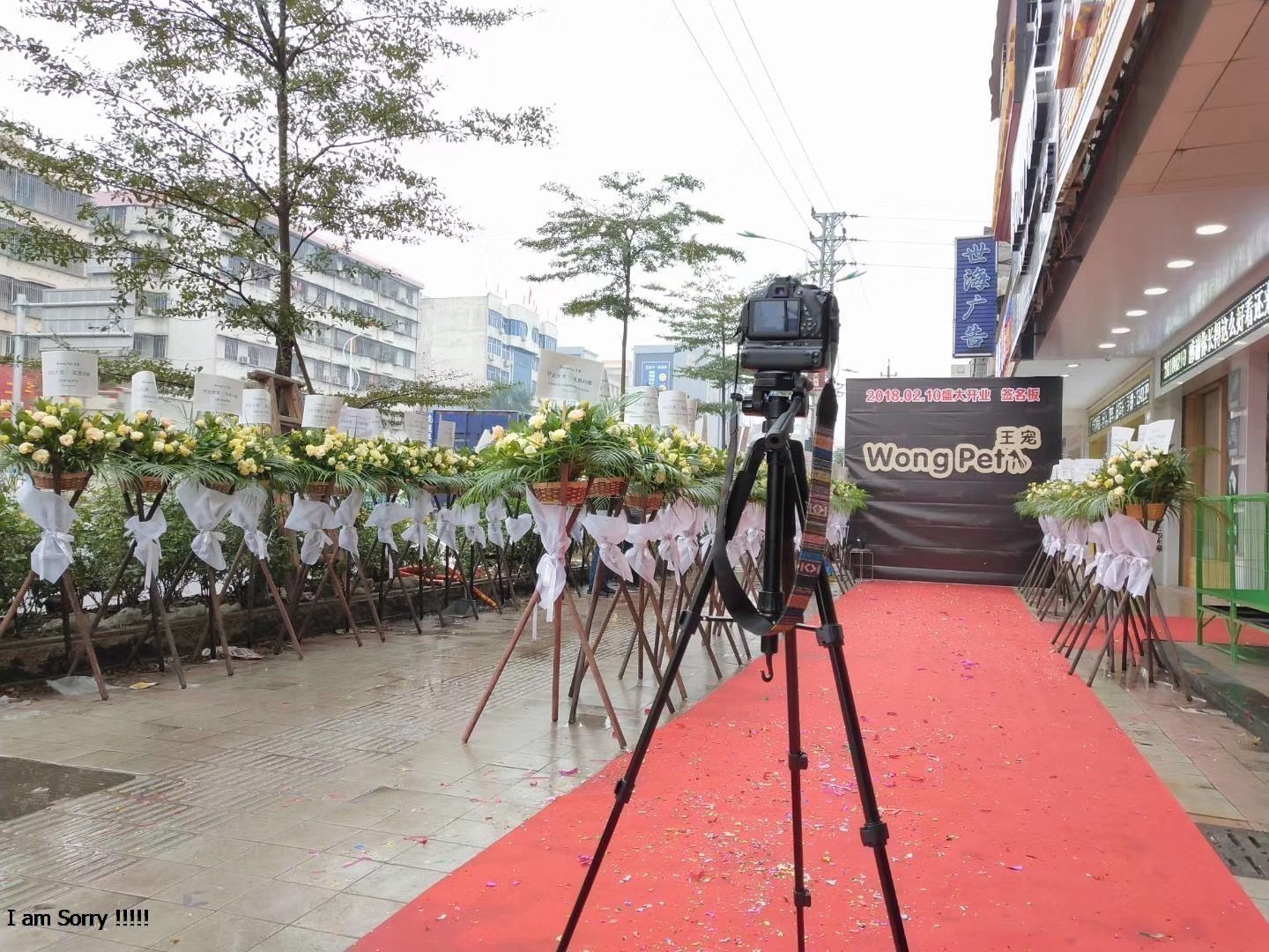 该如何开好一家宠物店呢,如何开一家自己的宠物店