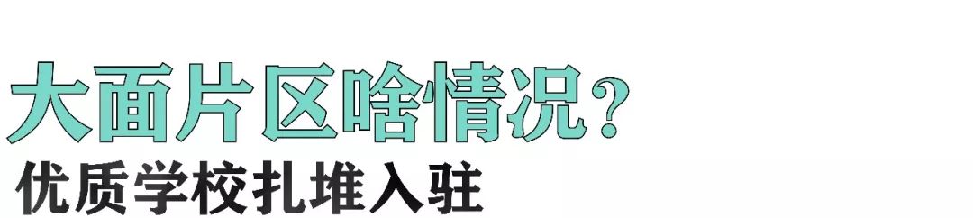 城东学校附属学校,城东要新建中学吗