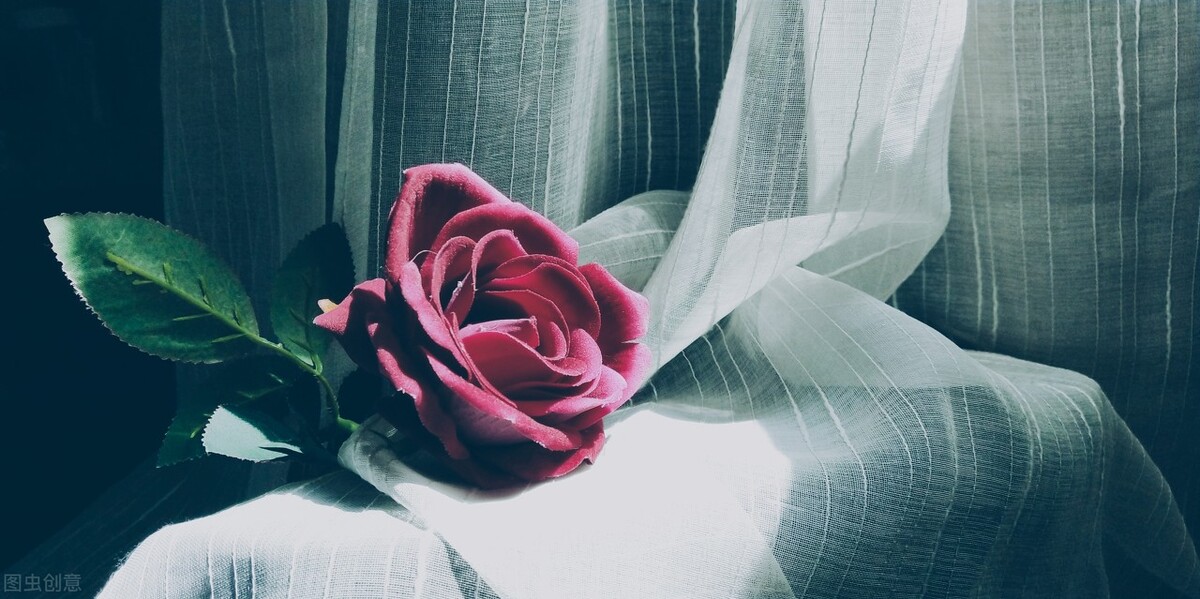 最新高质量言情文推荐,值得反复看的言情好文推荐