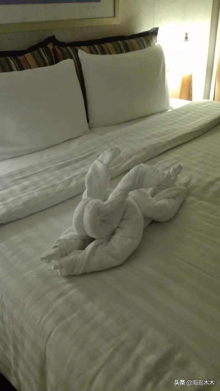 邮轮旅游歌诗达赛琳娜号攻略指南 (2018赛琳娜邮轮攻略长崎八代)