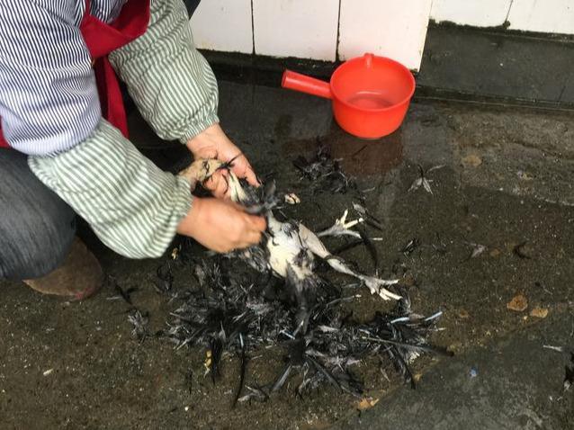 早岗古苗寨,早岗苗寨2008年照片