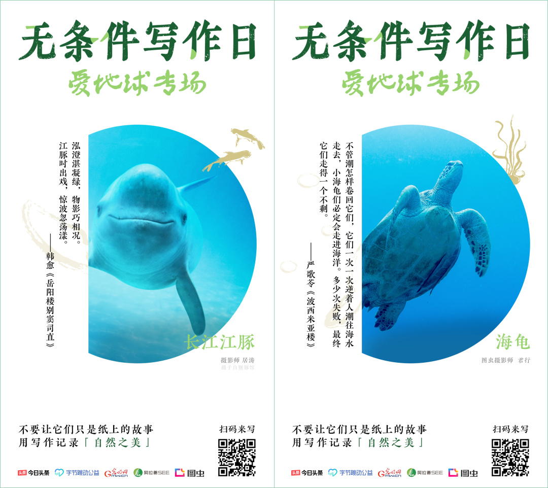 一个云南人如何成为最多产的“西方”博物学家?