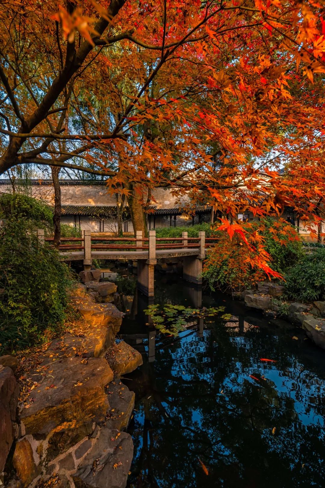 苏州和上海哪个值得去旅游,苏州这座清丽婉约的小城