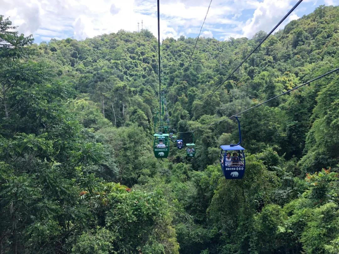 山河忽已秋，最后来西双版纳过个夏