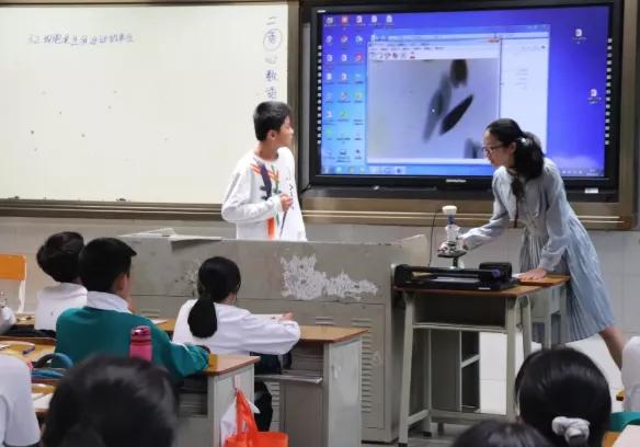 落实双减政策聚焦课堂教学,落实双减政策学校该怎么做