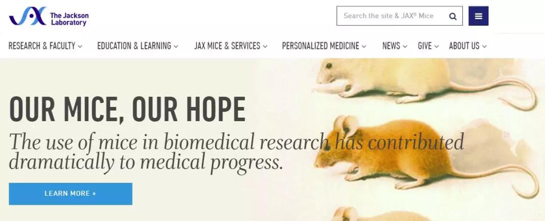 老鼠实验看人类命运,预测人类命运的老鼠实验