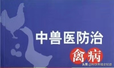 中兽医药方大全,中药兽医调理处方