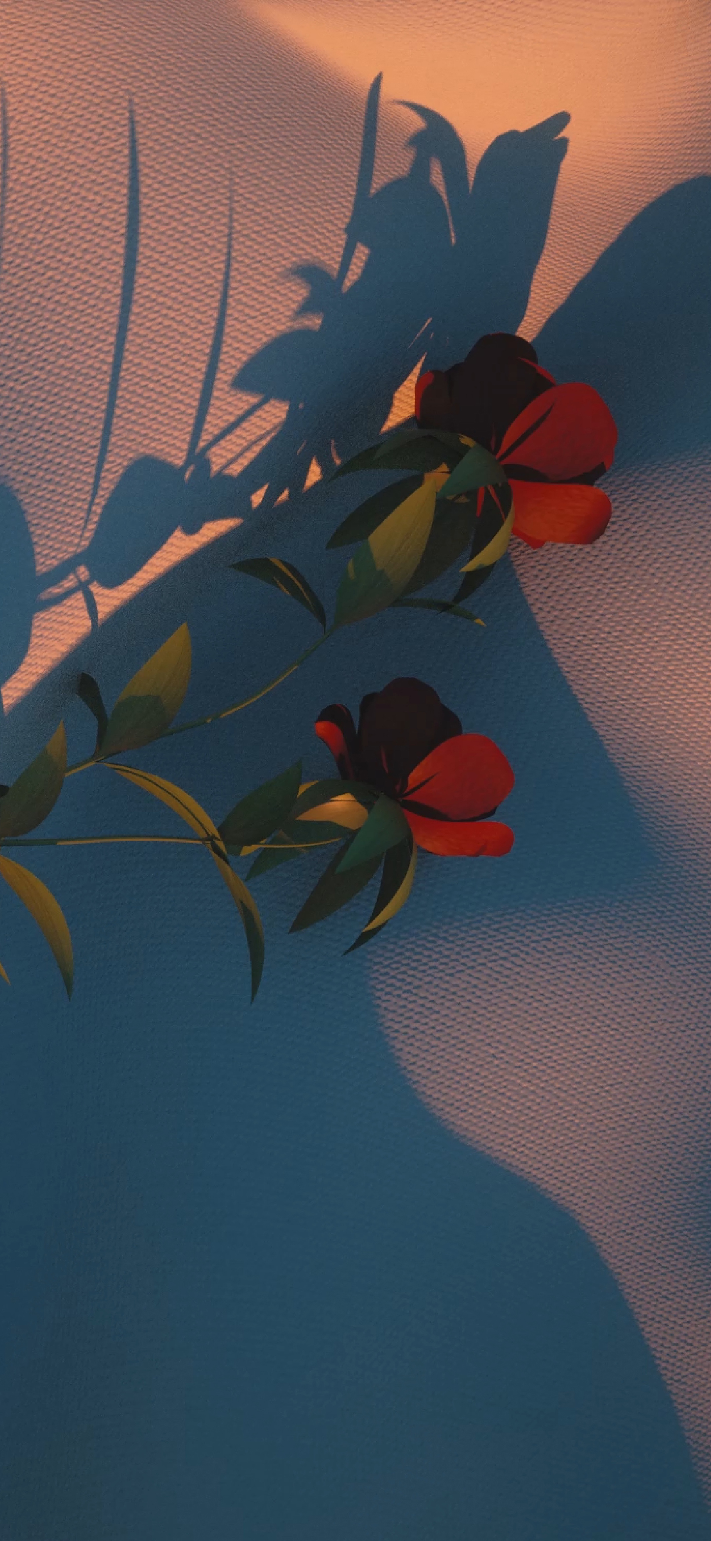 清晰到极致的手机壁纸图片,高清壁纸超清手机壁纸