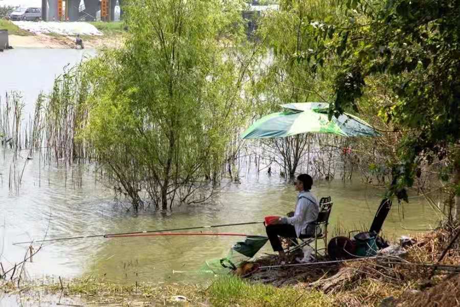 钓草鱼最正确的技术,钓大草鱼绝招最佳方法