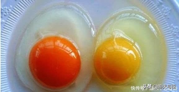 市场上有没有人造鸡蛋的存在,人造鸡蛋真的存在吗