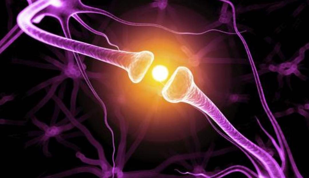 科学家说时间是什么意思,科学家说时间是什么