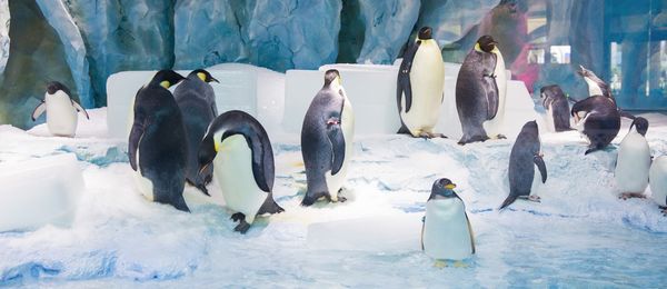 珠海长隆海洋王国亲子攻略2岁,亲子珠海长隆海洋王国一日游攻略