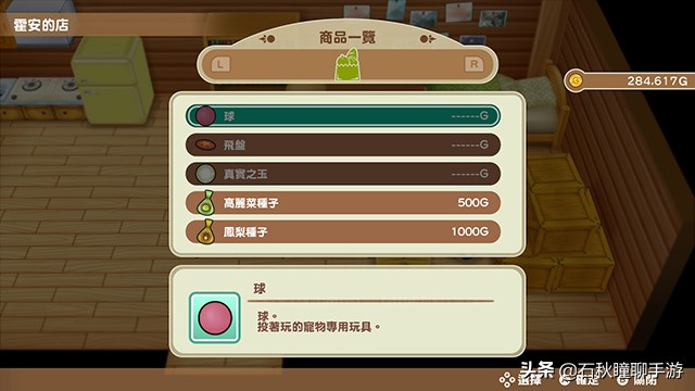 牧场物语矿石镇霍安买什么种子好,牧场物语重聚矿石镇猜苹果攻略