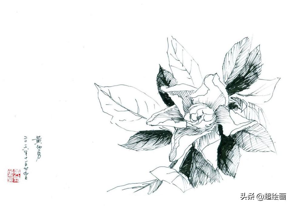 十大顶级钢笔画速写,钢笔速写100幅图片