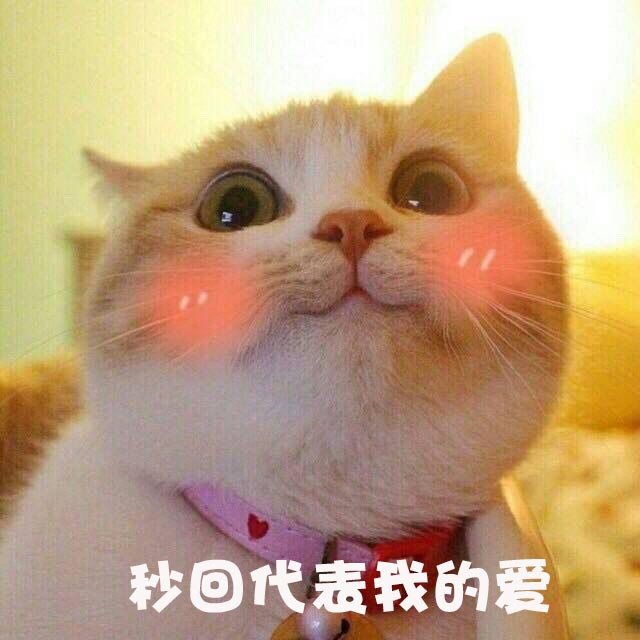 十二星座都是怎么回复消息,十二星座回复消息图片