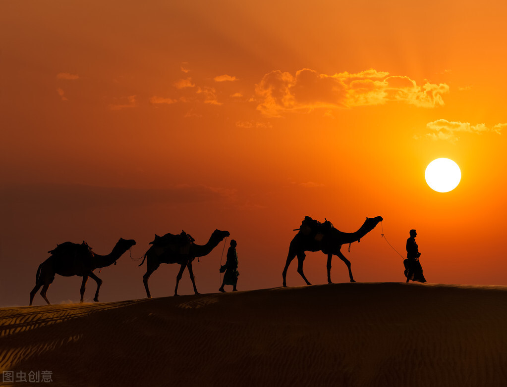 关于大家最关心骆驼奶粉的知识，看这一篇就够了,建议收藏