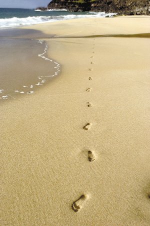 电池健康管家安卓版,手机电池管家哪个软件最好