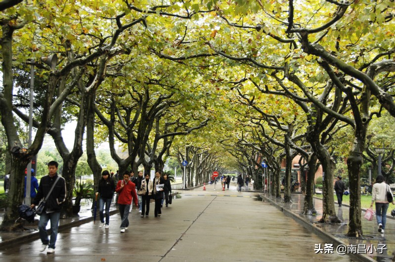 师范大学巡礼——上海师范大学